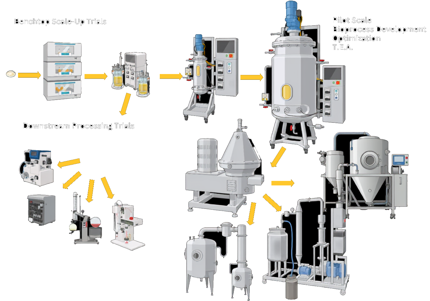 Bioprocess scale-up flow at Valleybrook: a petri dish feeds benchtop scale-up trials on shake flasks and benchtop bioreactors, advancing to pilot-scale bioreactor development, then into downstream processing trials including centrifugation, filtration, chromatography, evaporation, and spray drying.