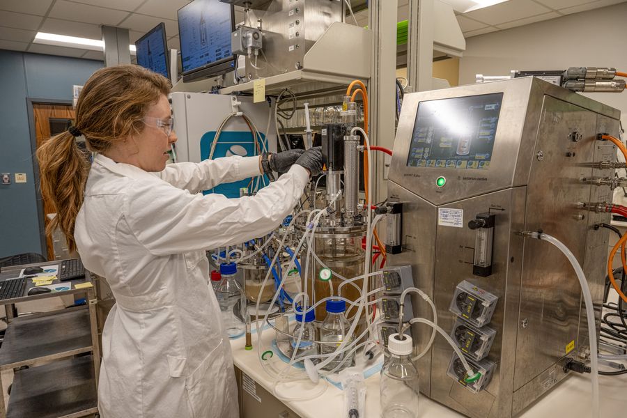 A scientist monitors a bioreactor control panel during a fermentation run