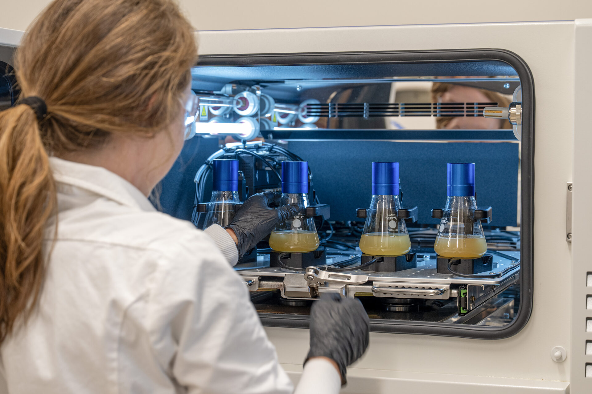 A researcher in a lab coat and gloves working with sample flasks in a biosafety cabinet at Valleybrook