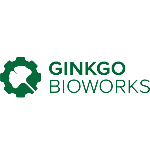 Ginkgo