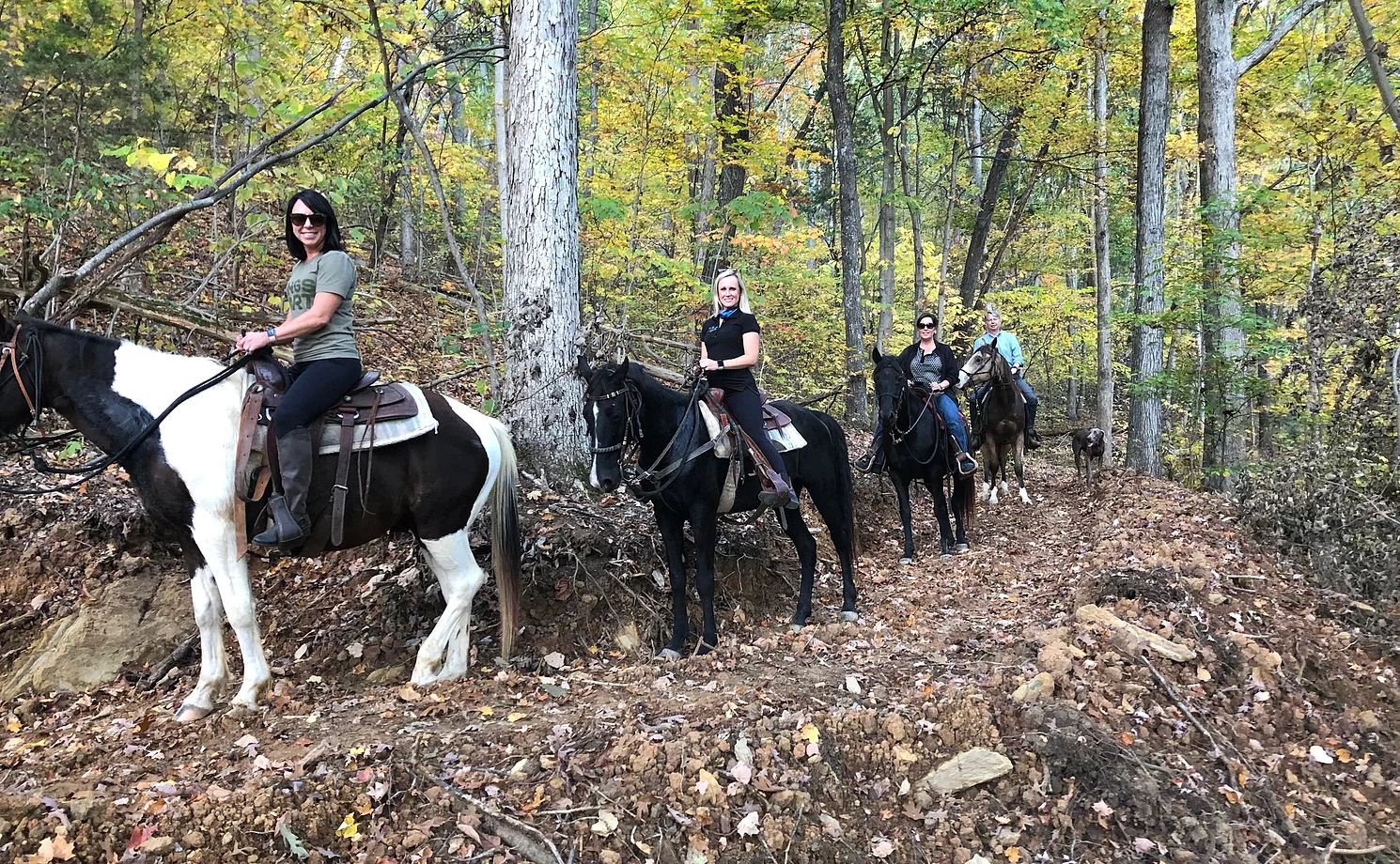 Four people riding horseback in the woods.