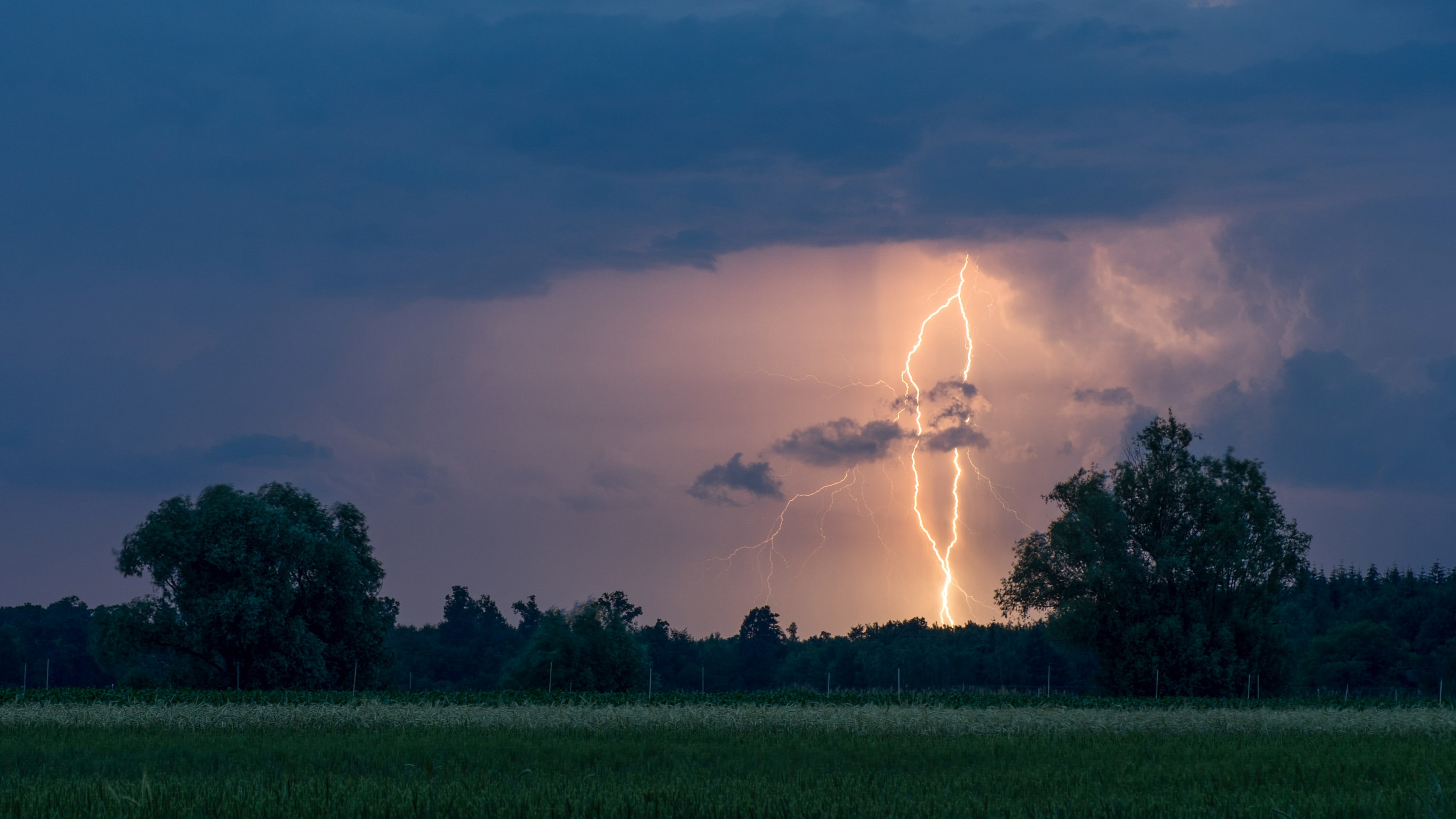 Lightning strikes over a field with trees at night.